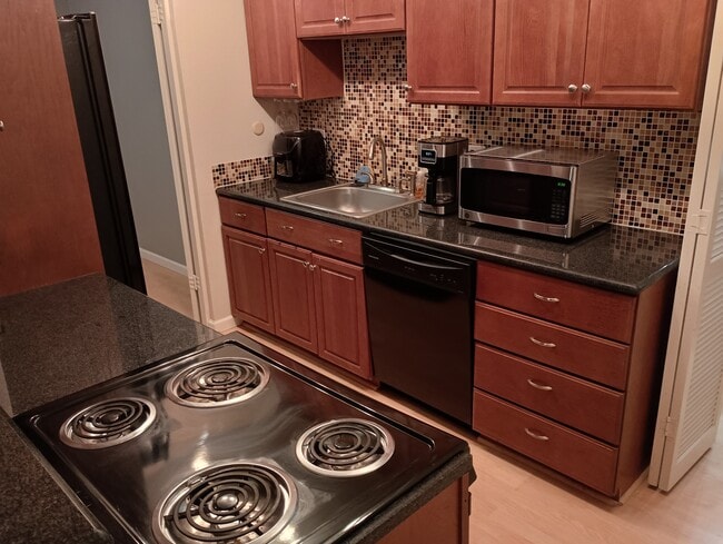 Building Photo - 700 N Washington St Unit 903 Rental