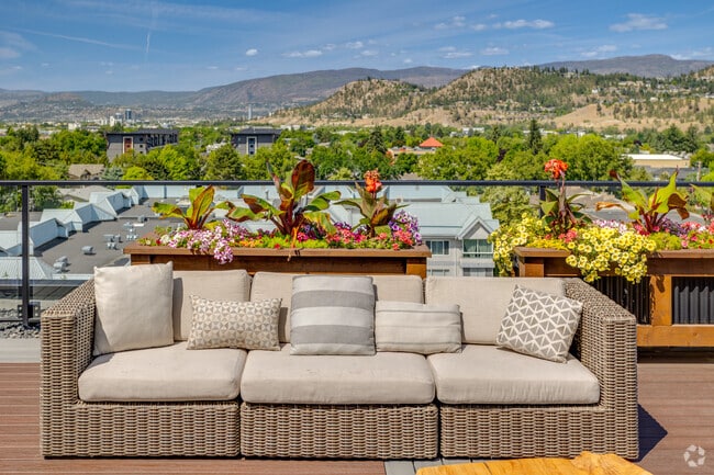 Rooftop Patio - The Woods at Willow Park