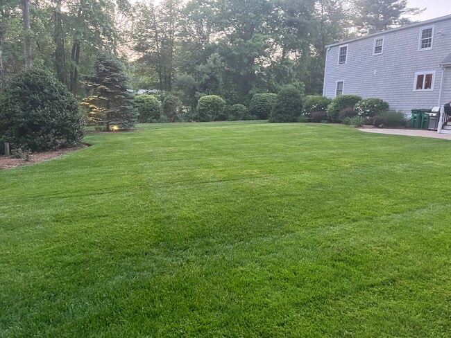 Photo - 16 Pelham St