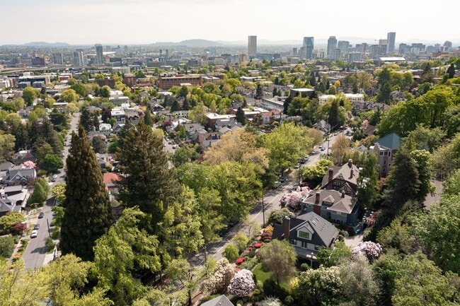 Photo - Amazing Nob-Hill Estate with impeccable fi...