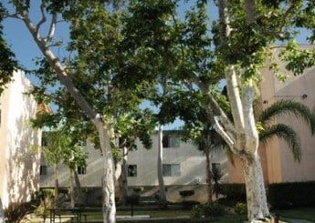 Montecito - Montecito