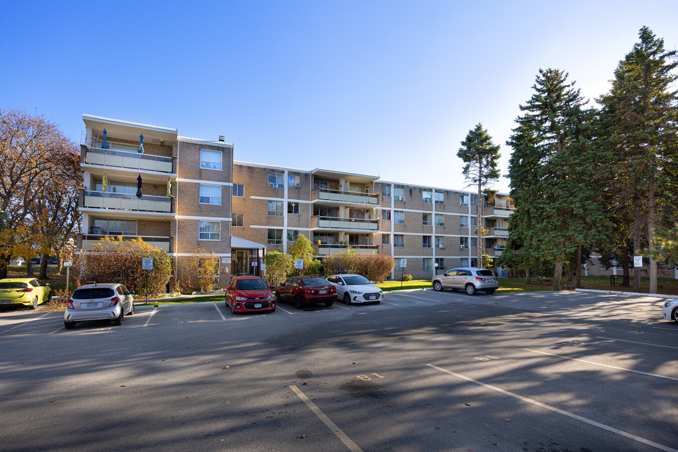 Photo - Cassandra Terrace