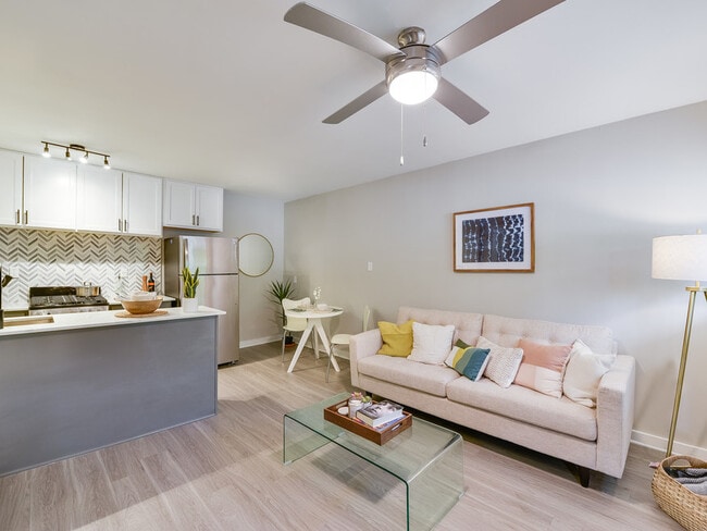 Photo - Deep Eddy Flats