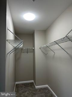 Photo - 1705 Palmetto Dr