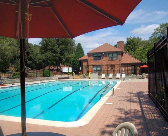 Jr. Olympic size pool