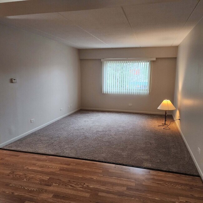 Sala de estar con alfombra nueva