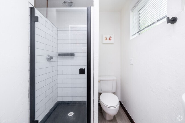 Studio - 239B