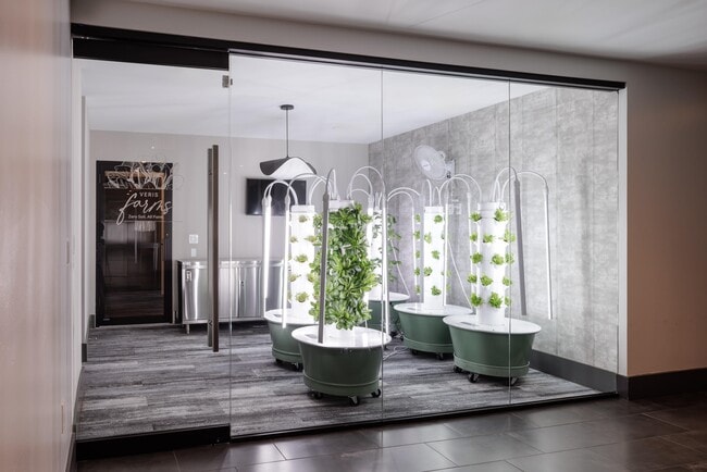 Soho Lofts