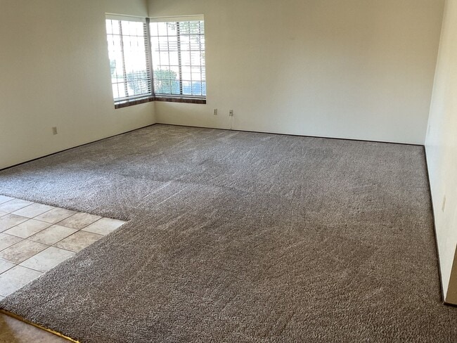 Photo - Look no more