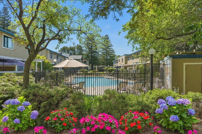 Photo - Redwood Landing