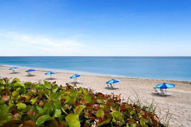 4100 N Ocean Dr Unit 803