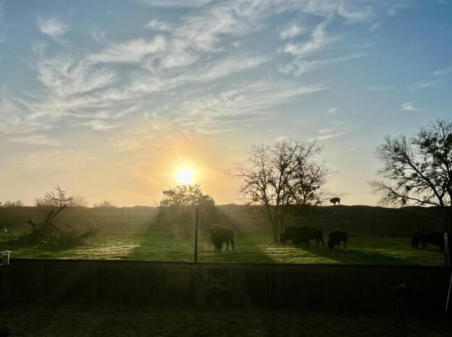 Photo - 11305 Sentinel Dr