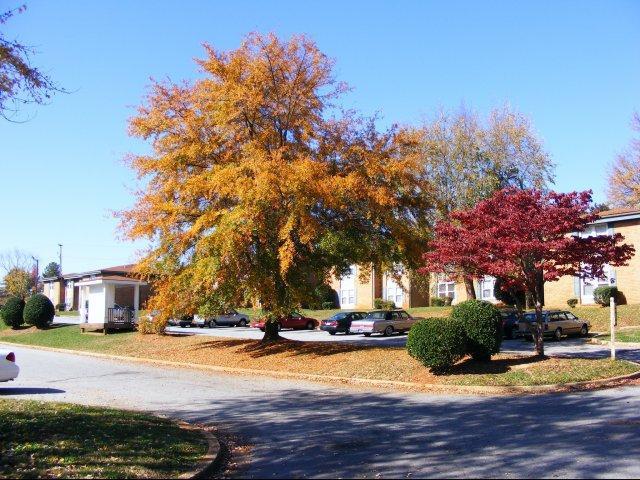 Magnolia Ridge Apartments