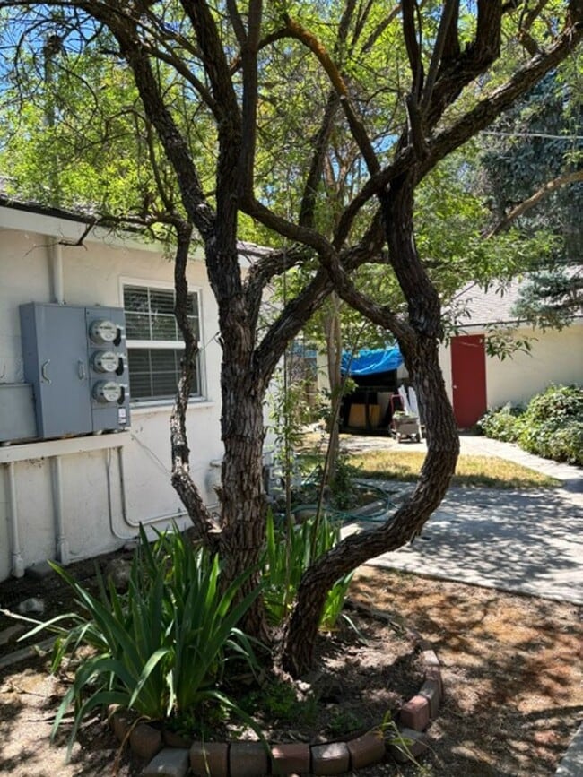 Photo - 821 Vine St Unit #2