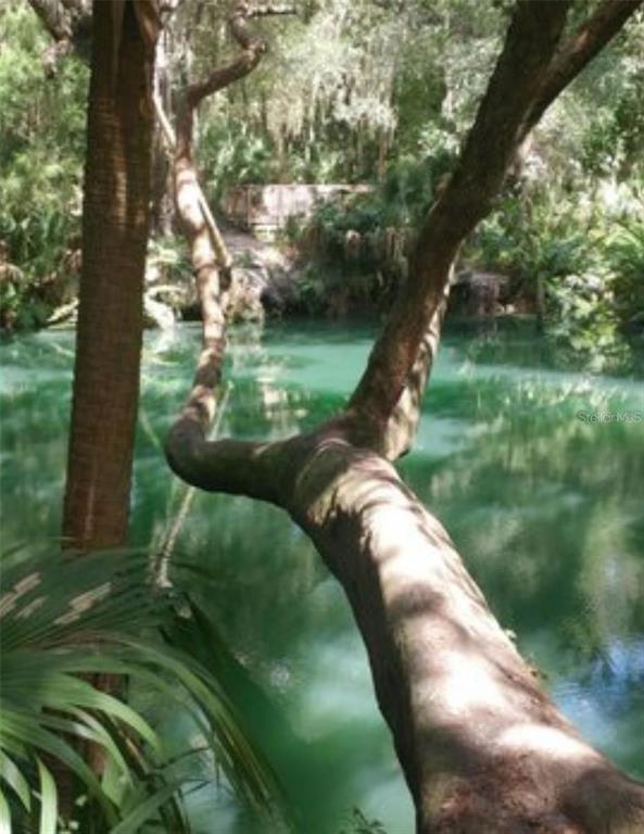 Photo - 120 Hibiscus Woods Ct Unit 4B