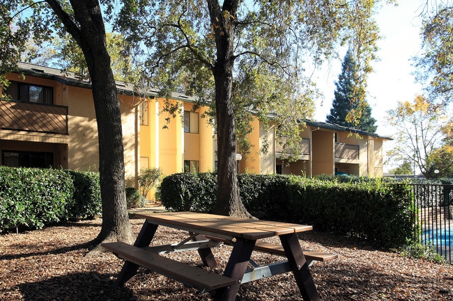 Tranquil Picnic Areas