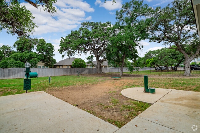 Dog Park