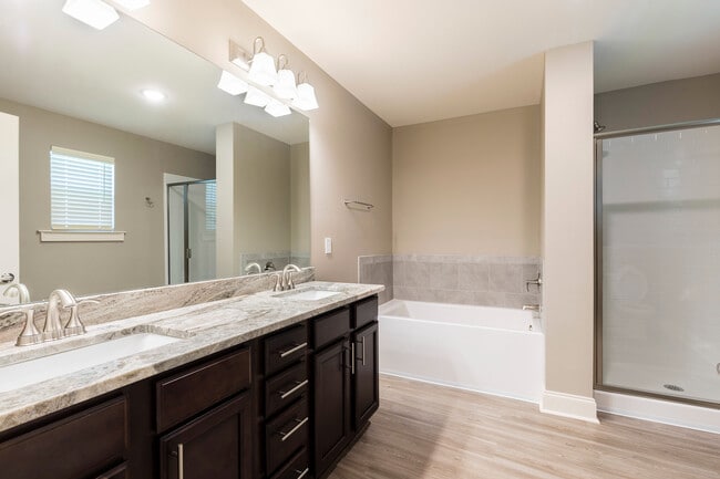 Luxurious Modern Bathroom