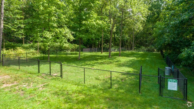 Dog Park