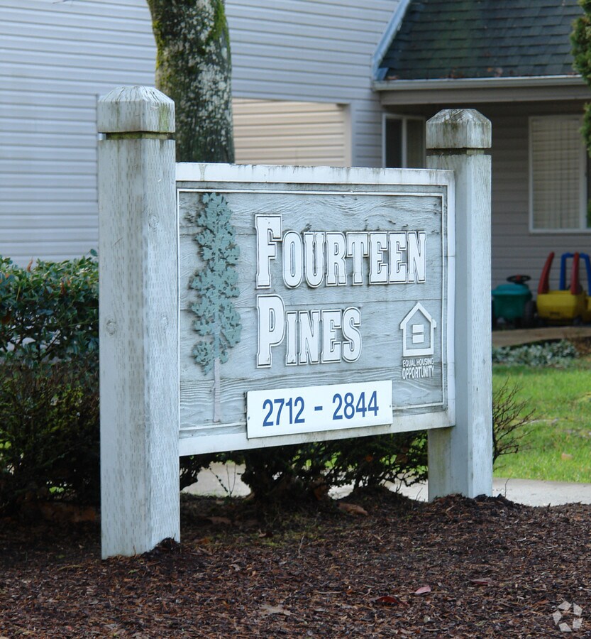 Photo - Fourteen Pines