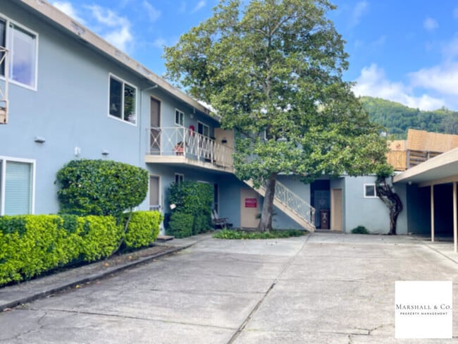 Building Photo - NEW LISTING! Walk 1 Block To Downtown! LG. 1 BR/1BA, Hdwd Flrs,Big Walk-In Closet!