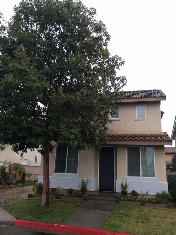 Photo - 2872 Homestead Dr