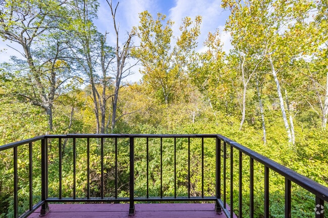 1BR, 1BA - 700SF - Balcony