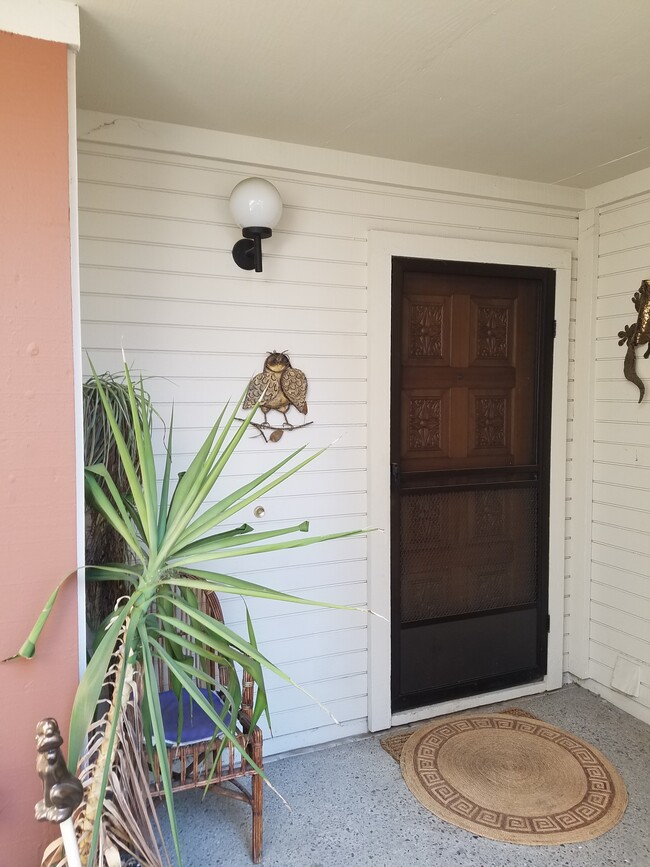 front door - 1896 Mountain Creek Ct