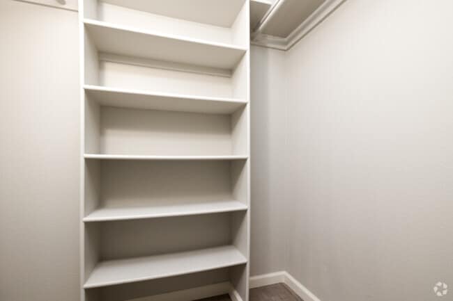 2BR, 1BA - 1,000SF - Closet