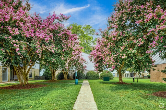 ReNew Virginia Beach