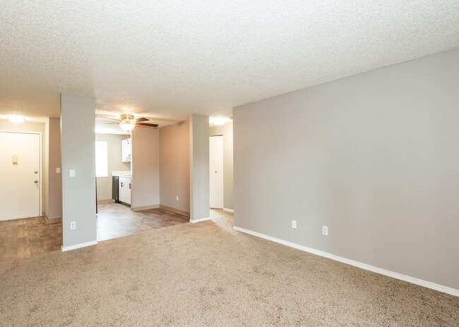 Photo - Cornell Woods