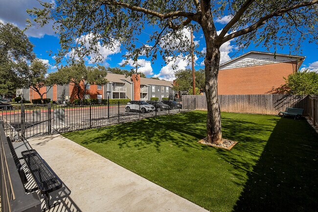 Bark Park