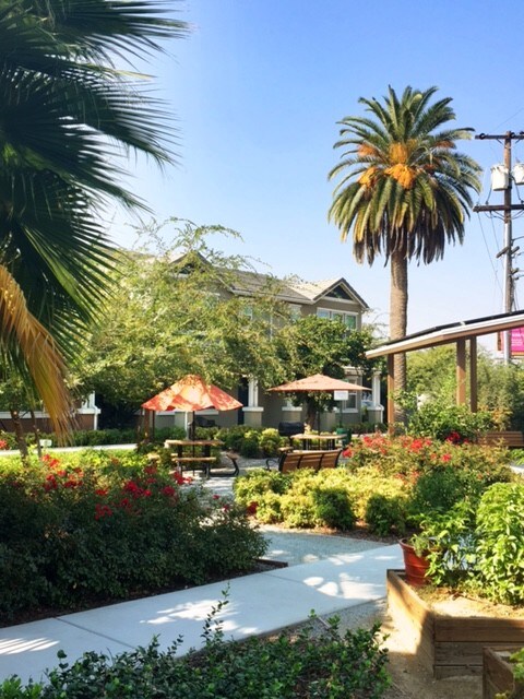 Photo - Crichton Place