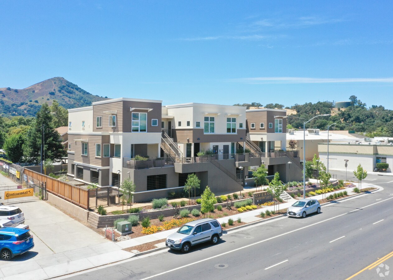 Photo - Overo at Orchard Ranch