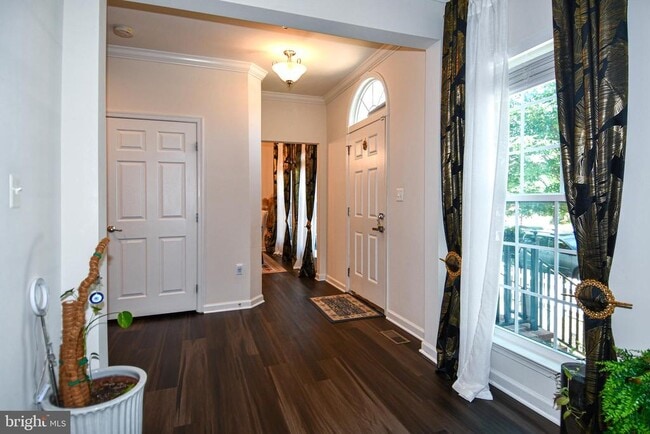 Photo - 11830 Steeplebush Dr