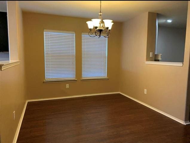 Photo - 510 Indian Paintbrush