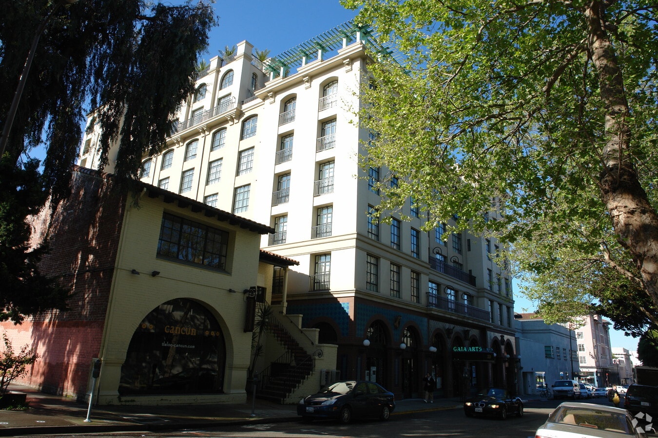 Berkeley Apartments - Gaia - Sterling Allston