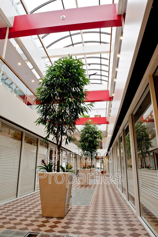 Building Photo - 110 Campbell Ave SE Unit SW 203