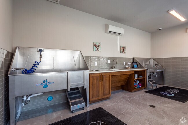 Dog Washing Stations