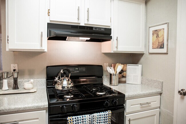 Spring Lake Apartments