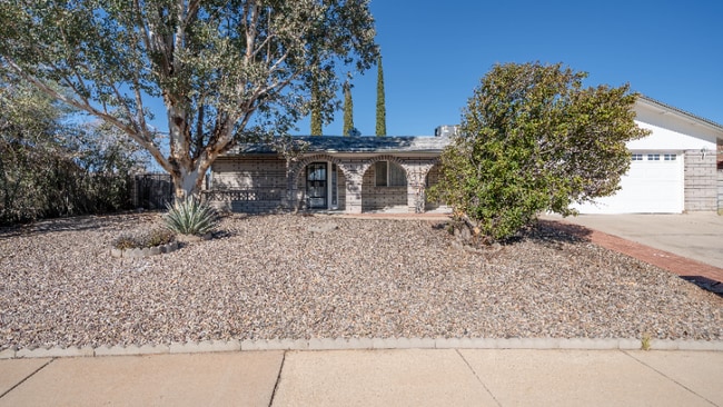 Photo - 1349 Cholla Cir
