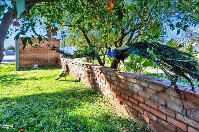 Photo - 4004 E McKellips Rd Unidad 1-101