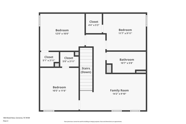 Photo - 1854 Musk Rose