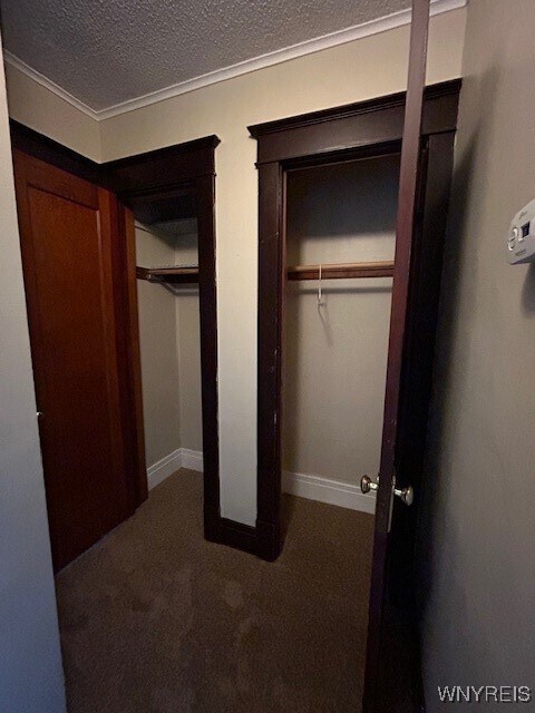 Photo - 384 Skillen St