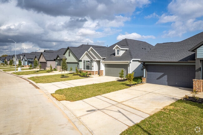 Skymor Cypress - Skymor Cypress