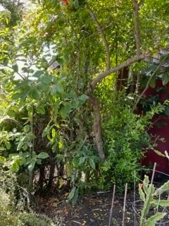 Photo - 450 60th St House