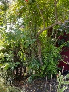 Building Photo - 450 60th St Rental