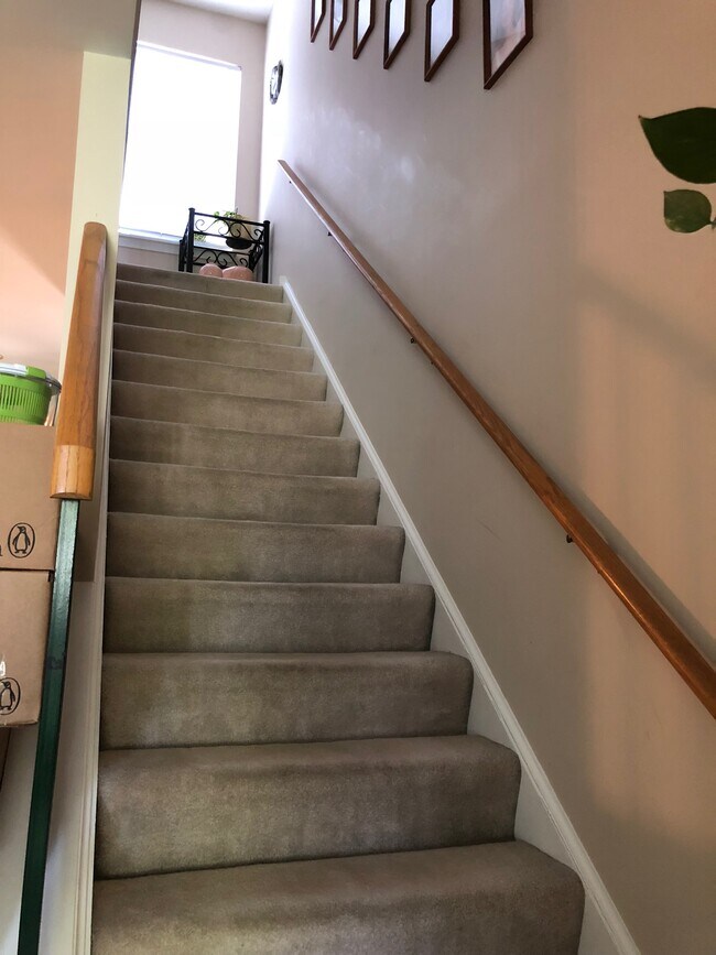 Stairway - 103 Capella Ct