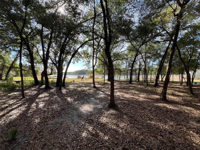 Photo - 36338 W Spring Lake Blvd