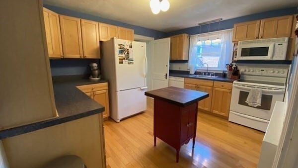 Building Photo - 297 Walnut St Unit 1